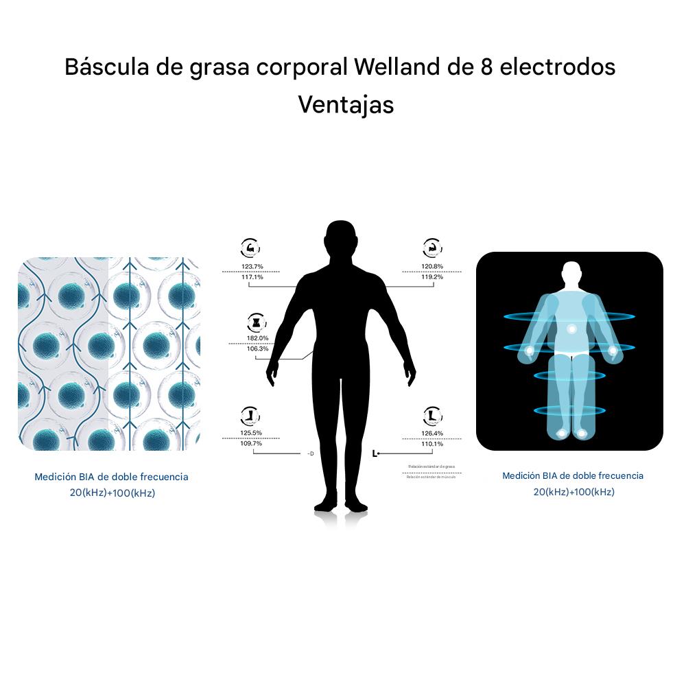 Bascula Inteligente Profesional 2025